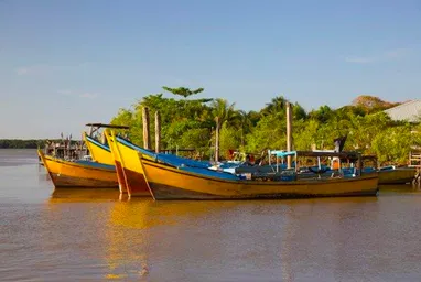 surinam.png