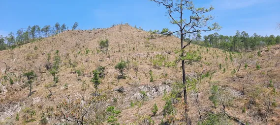 WhatsApp Image 2022-09-29 at 3.33.10 PM.jpeg