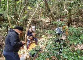image03.png