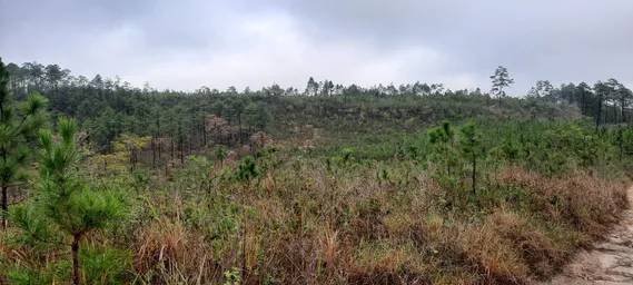 WhatsApp Image 2022-09-29 at 3.33.09 PM (2).jpeg