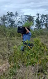 WhatsApp Image 2022-09-29 at 3.34.57 PM.jpeg