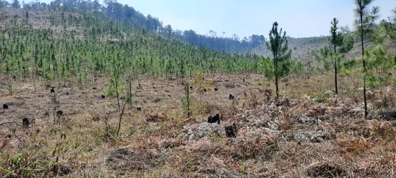 WhatsApp Image 2022-09-29 at 3.33.09 PM.jpeg