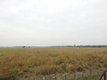 DSCN4289.JPG