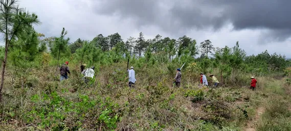 WhatsApp Image 2022-09-29 at 3.33.09 PM (1).jpeg