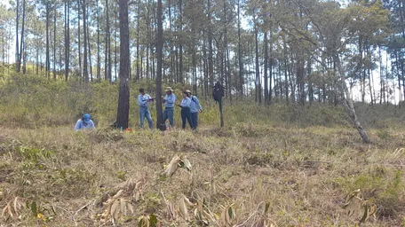 WhatsApp Image 2022-09-29 at 3.35.18 PM.jpeg