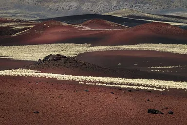 Payunia landscape