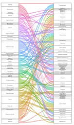 Sustainable farms plant-insect network.png