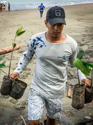 Shark Sanctuary Restoration (3).jpg