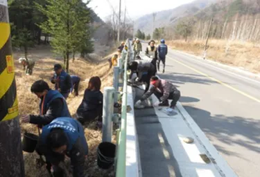 Roadkill prevention facilities.JPG