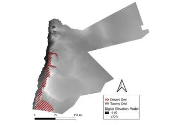 Fig 7 -Tawny and Desert Owls.jpg
