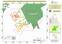 Identificación, restauración y protección de áreas forestales degradadas en 3 comunidades de la zona de amortiguamiento de la RPNSR, fragmento representativo del BAAPA