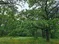 Establishing of the Regional landscape park Studenykivskyi