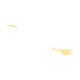 Kidney Island Group